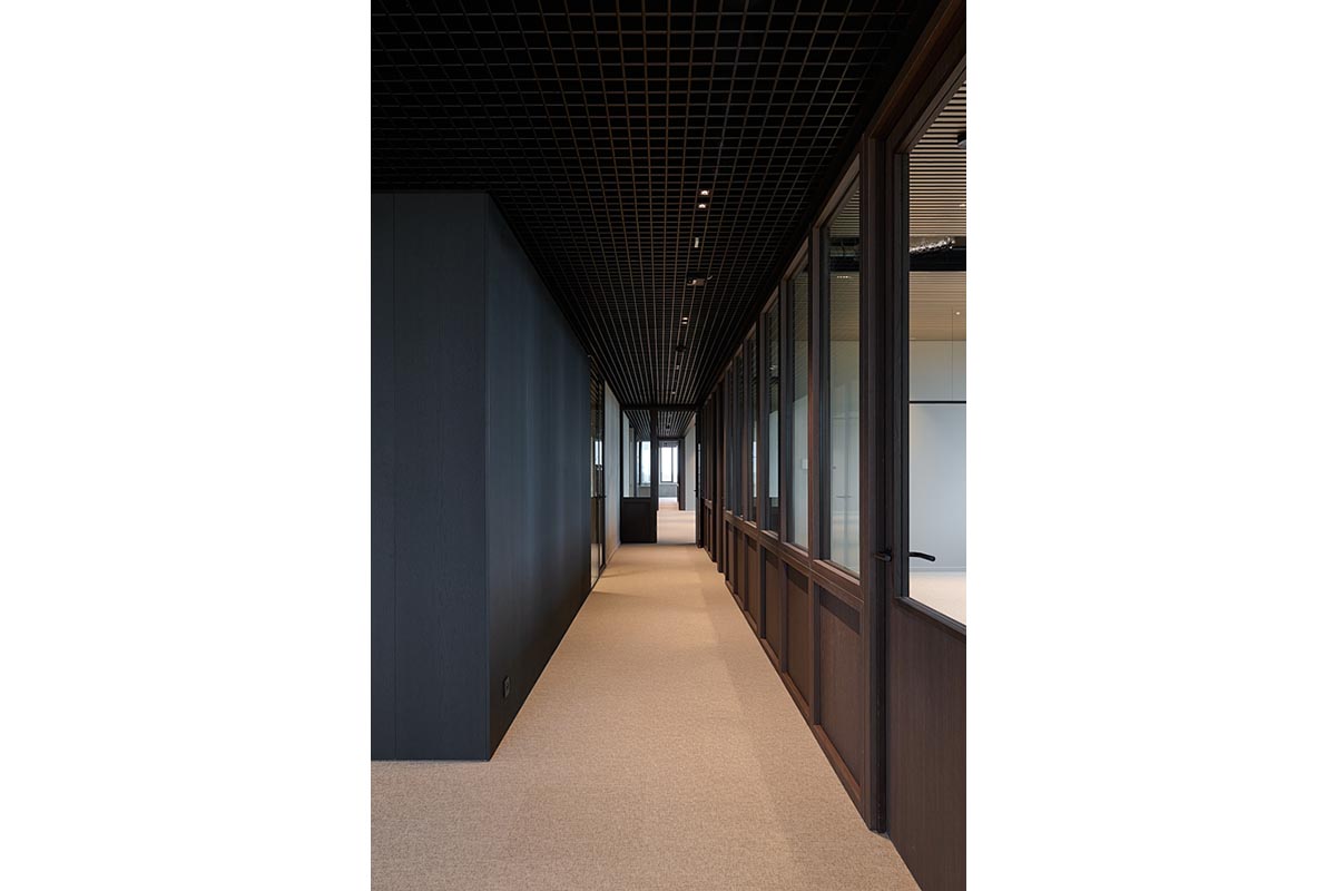 8002 UMBER BROWN 15.jpg